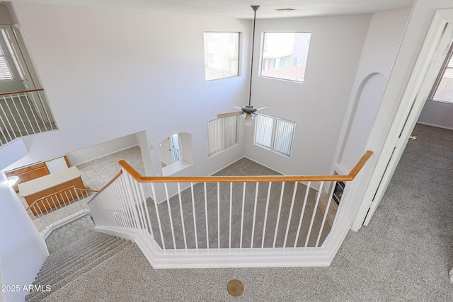 staircase with carpet and ceiling fan