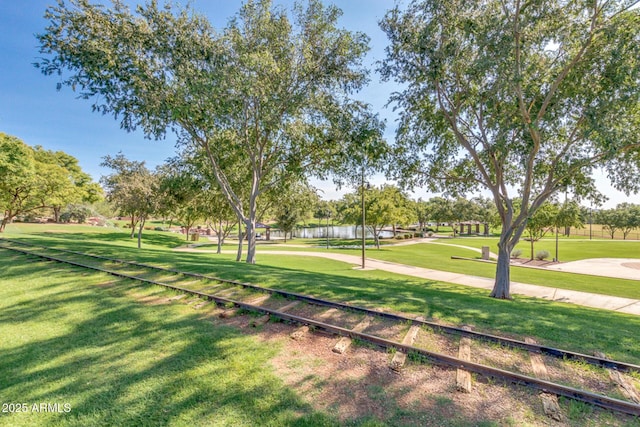 view of home's community with a lawn