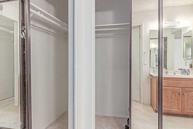closet featuring visible vents and a sink