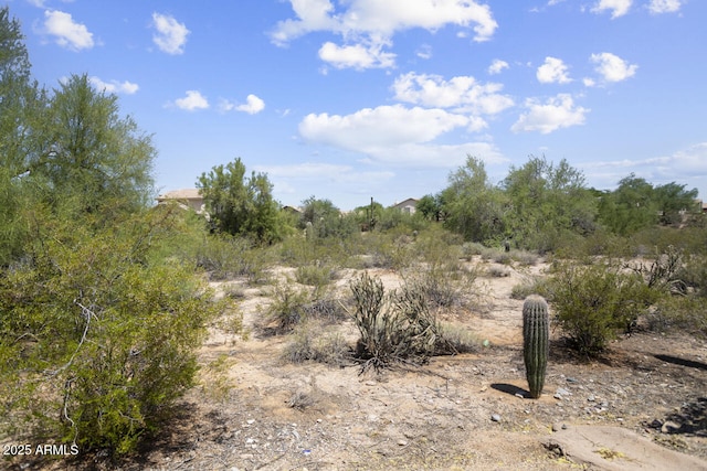 19102 N 91st St, Scottsdale, AZ 85255 - view of nature