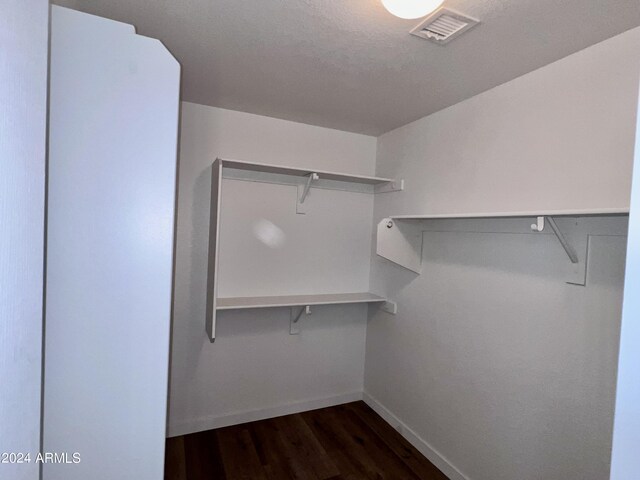 spacious closet featuring dark hardwood / wood-style floors