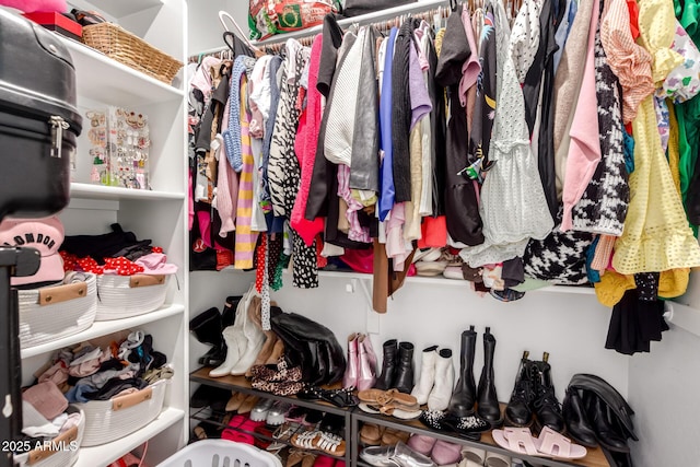 view of walk in closet