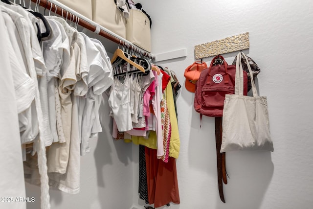 view of walk in closet