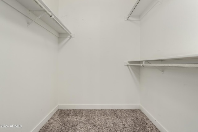 spacious closet with carpet floors