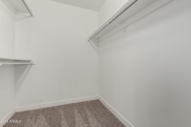 walk in closet featuring carpet flooring