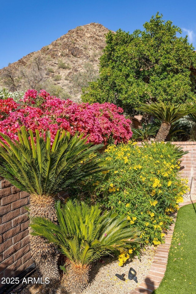 8031 N 54th St Unit 24, Paradise Valley, AZ 85253
