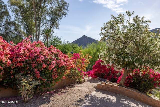 8031 N 54th St Unit 24, Paradise Valley, AZ 85253