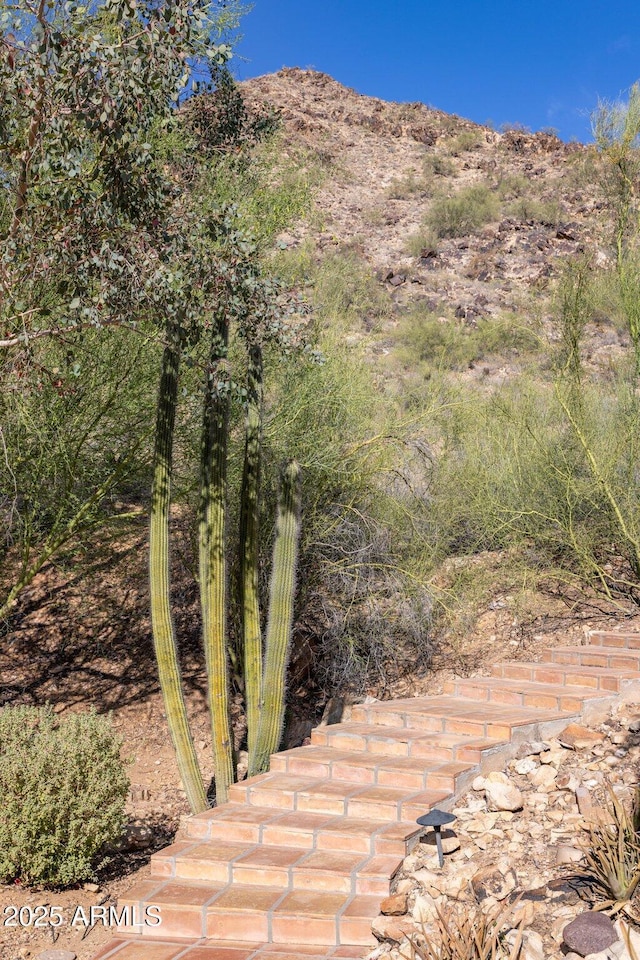 8031 N 54th St Unit 24, Paradise Valley, AZ 85253