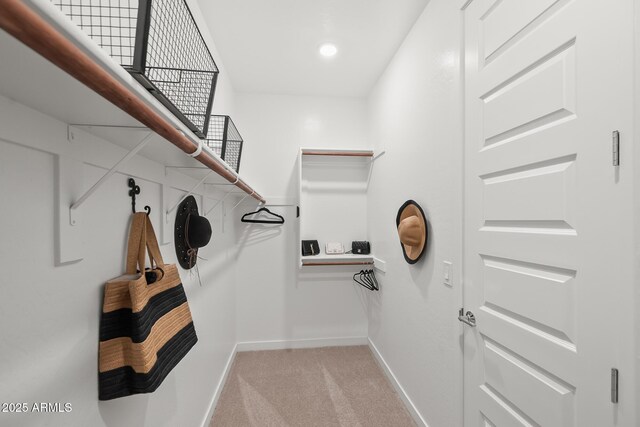 walk in closet featuring light colored carpet