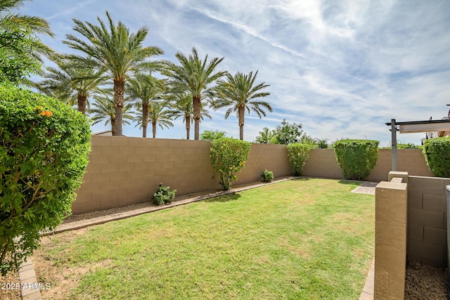 view of yard with a fenced backyard