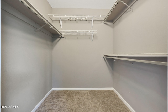 walk in closet featuring carpet