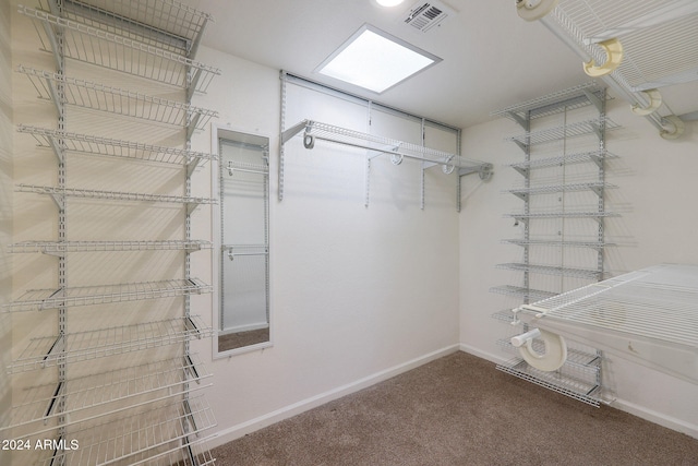 walk in closet featuring visible vents and carpet flooring