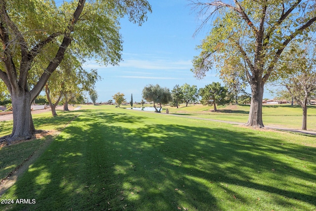 surrounding community featuring a yard