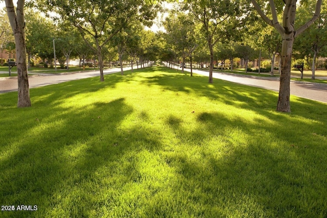 view of property's community featuring a yard