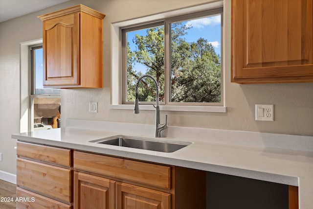 kitchen featuring a wealth of natural light and sink