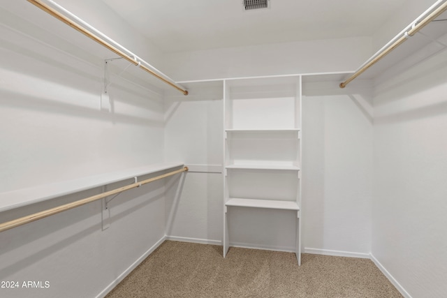 walk in closet featuring carpet flooring