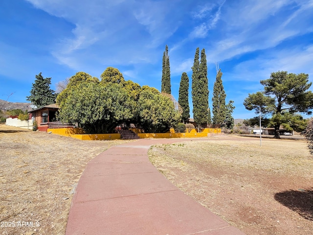 view of yard