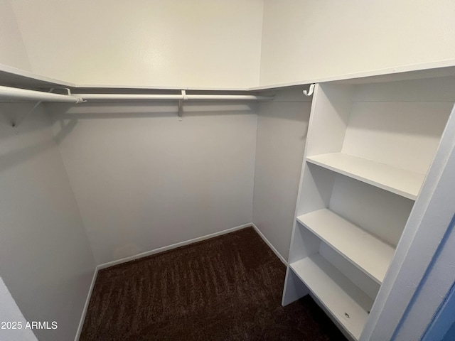 spacious closet with dark carpet