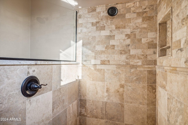 interior details with tiled shower