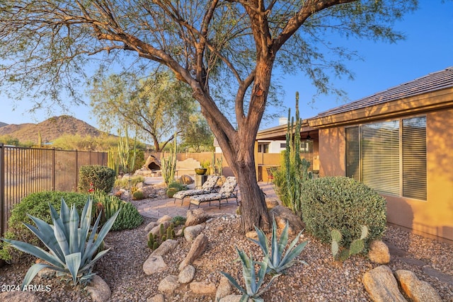 view of yard featuring a mountain view and a patio area