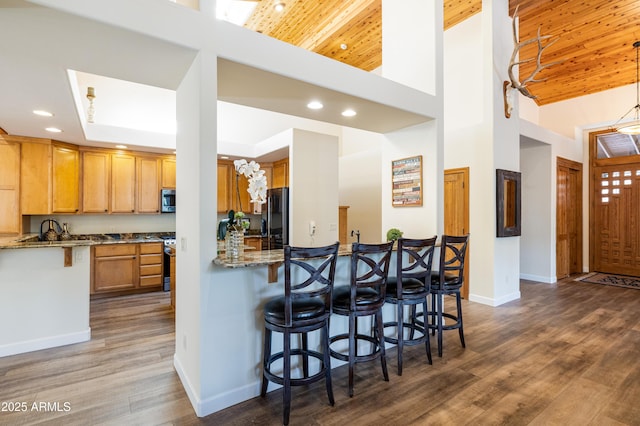 kitchen with baseboards, a kitchen breakfast bar, dark wood-style flooring, stainless steel appliances, and stone counters