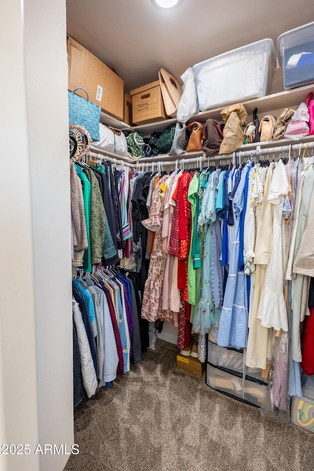 spacious closet featuring carpet flooring