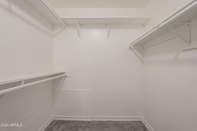 walk in closet featuring carpet