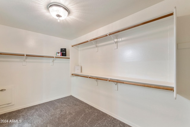 spacious closet featuring carpet floors