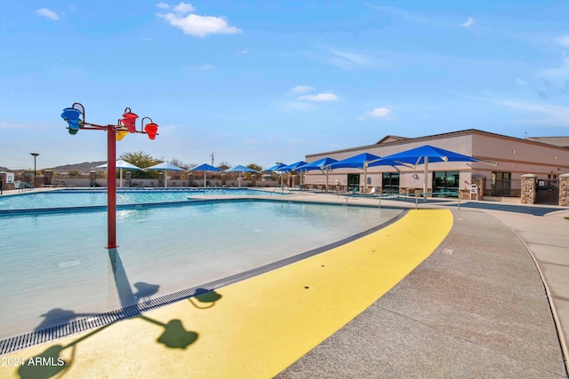 view of pool featuring a patio area