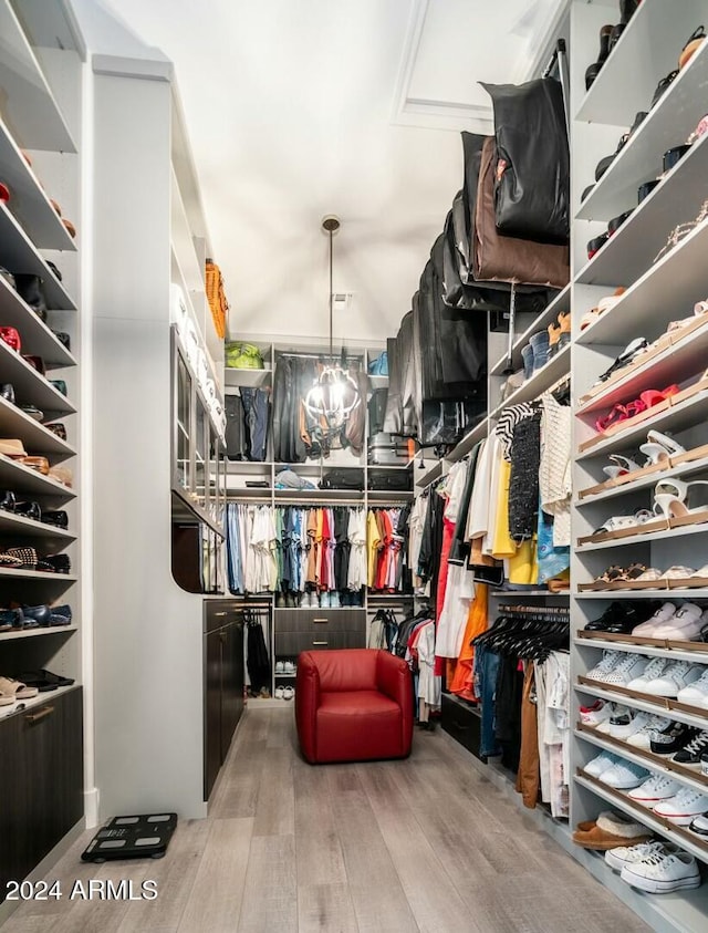 spacious closet featuring hardwood / wood-style flooring