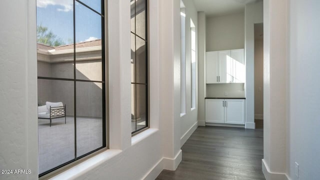 hallway featuring dark hardwood / wood-style flooring