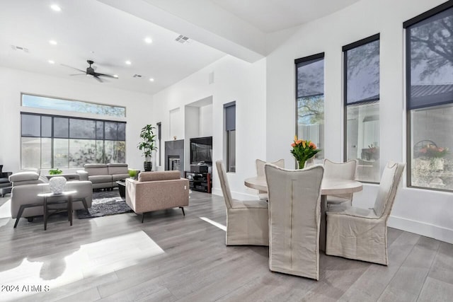 dining room with ceiling fan and light hardwood / wood-style flooring