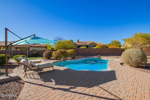 view of pool featuring a patio