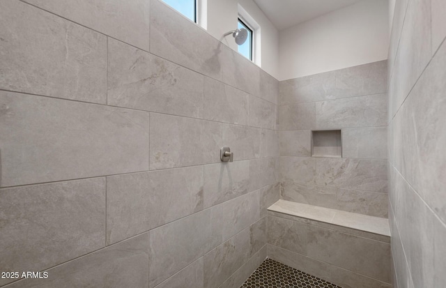 22523 E Orchard Ln, Queen Creek, AZ 85142 - bathroom with tiled shower