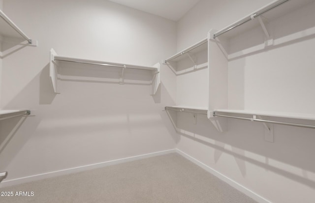 22523 E Orchard Ln, Queen Creek, AZ 85142 - spacious closet with carpet