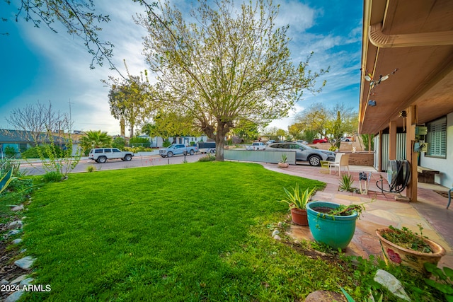 view of yard featuring a patio area