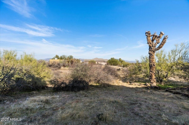 28607 N 152nd St, Scottsdale, AZ 85262 - view of landscape