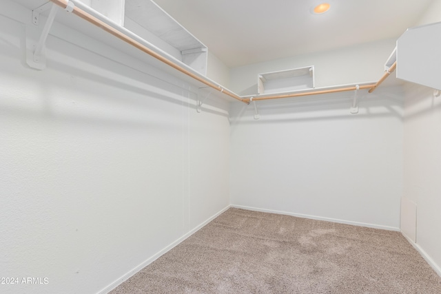 walk in closet with carpet flooring