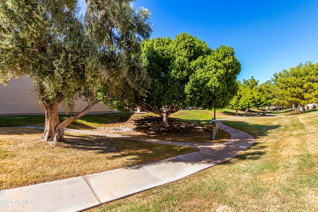 view of community with a yard