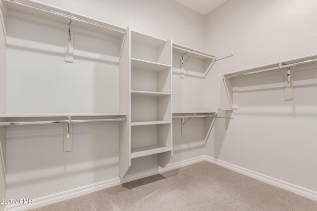 spacious closet featuring carpet