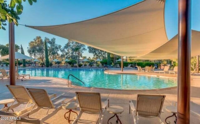 view of pool featuring a patio area