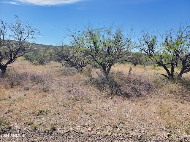 173 Via Ventosa Unit 98, Rio Rico AZ, 85648 land for sale