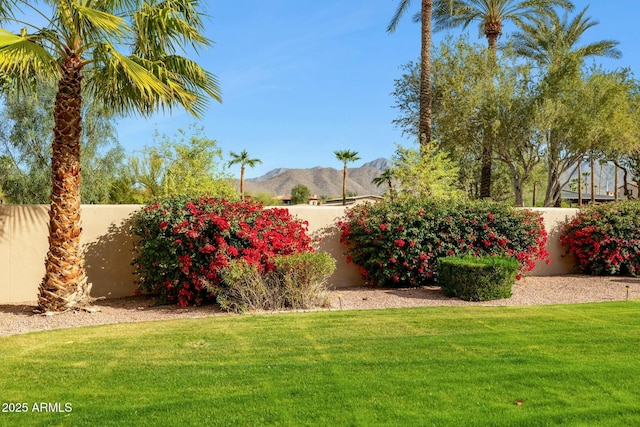 view of yard with fence and a mountain view