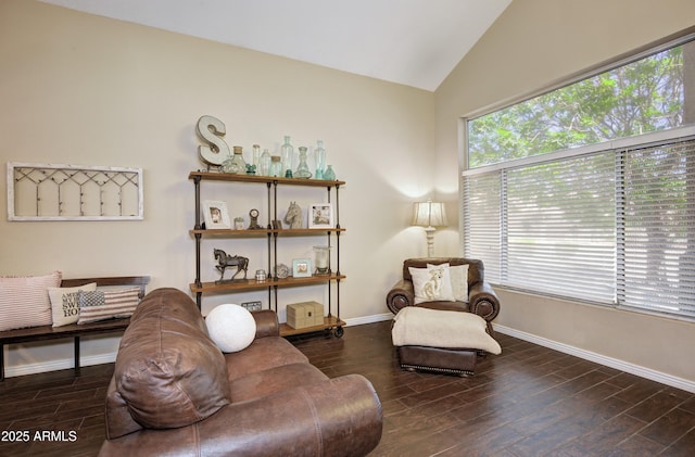 sitting room featuring baseboards, wood finished floors, and lofted ceiling