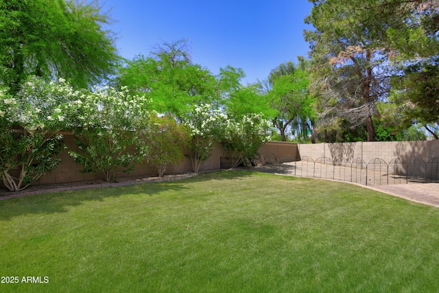view of yard featuring a fenced backyard
