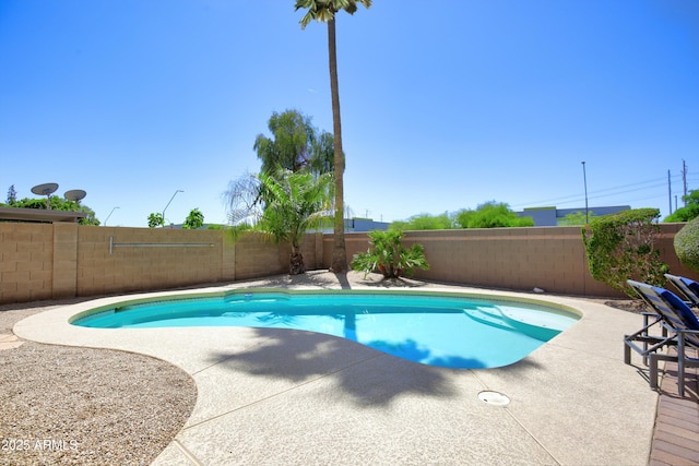view of pool with a fenced in pool, a fenced backyard, and a patio area