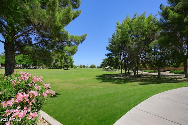 surrounding community featuring a lawn
