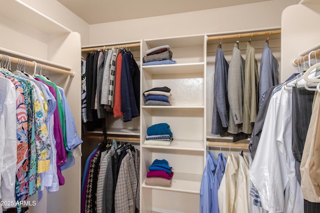 view of spacious closet