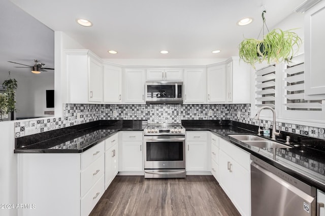 kitchen with white cabinetry, sink, ceiling fan, dark hardwood / wood-style floors, and appliances with stainless steel finishes