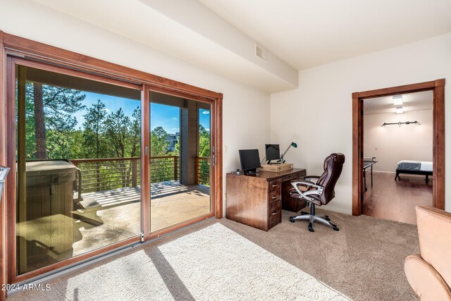 office space with a wealth of natural light and carpet